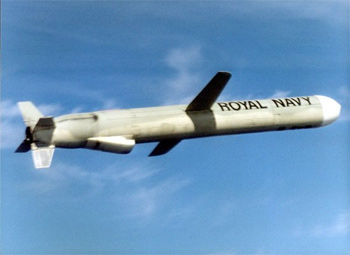 Tomahawk Cruise Missile